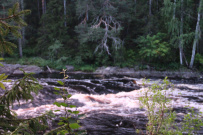 Сплав по реке Шуя