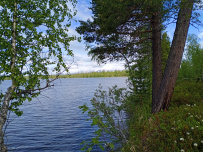 Сплав по реке Умба