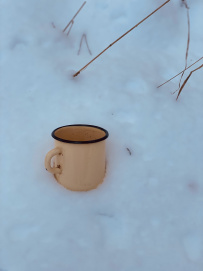 Однодневный поход «На свежий воздух»
