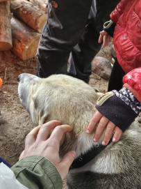 Путешествие по ладожским шхерам