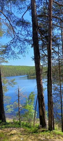Сплав по реке Чирка-Кемь на байдарках