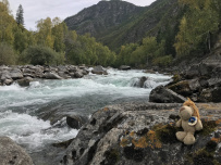 Сплав по рекам Чуя и Катунь