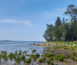 Соловецкие Острова в Белом Море (экскурсии + поход)