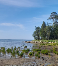 Соловецкие Острова в Белом Море (экскурсии + поход)