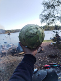 Сплав по реке Умба