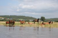 Сплав по реке Юрюзань: тропою Салавата