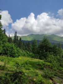 Детская Абхазия 