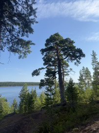 На байдарках: Кереть и Белое море