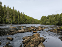 Сплав по реке Шуя