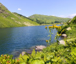 Детская Абхазия 