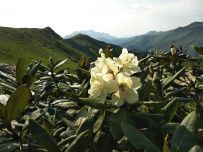 Заповедная Рица: горы и озёра (поход налегке с автосопровождением)