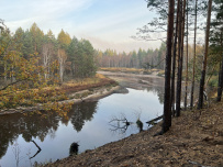 Пеший поход «Золотая осень в Мещёре»