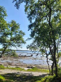 Соловецкие Острова в Белом Море (экскурсии + поход)