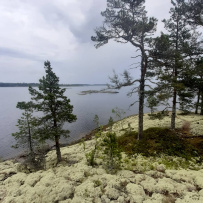 Три дня по Ладожским шхерам на байдарках (с трансфером)