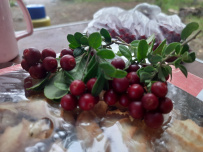 Ладога на каяках длинный поход (4-9 дней)