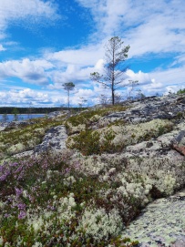 Белое море на морских каяках (байдарках): Карельский берег
