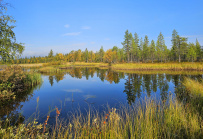 Сплав по реке Умба