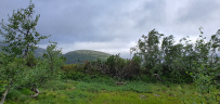 Колвица на морских каяках (байдарках). Путешествие на землю Саамов