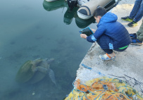 В Сердце Ликийской тропы (Поход вдоль моря, без рюкзаков)