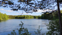 Сплав по реке Суна на байдарках