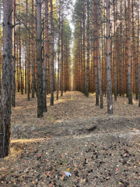 Пеший поход «В долину семи озёр»