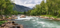 Сплав по рекам Чуя и Катунь