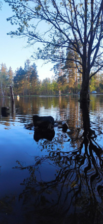 Сплав по реке Пра: через самое сердце Мещеры
