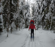 Лыжный поход - Легендарная ГАБОвская народная лыжня