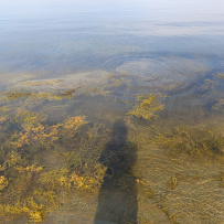 Сплав по реке Кереть и Белое море