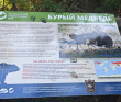 Бурятия. Семейная экспедиция в Медвежьи угодья