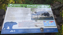 Бурятия. Семейная экспедиция в Медвежьи угодья