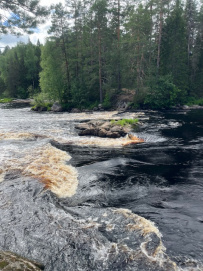 Сплав по реке Шуя