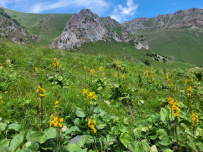 Горный лагерь на царском курорте (Джилы-су север Приэльбрусья)