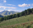 Сплав по реке Чарыш на байдарках
