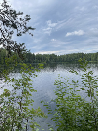 Сплав по реке Шуя