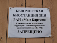 Сплав по реке Кереть и Белое море