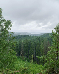 Ландшафтные театры Карелии