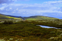 Колвица на морских каяках (байдарках). Путешествие на землю Саамов
