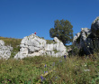 Горный лагерь в Лаго-Наки