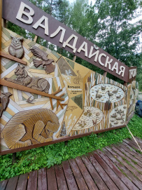 Валдайская тропа (пеший поход)