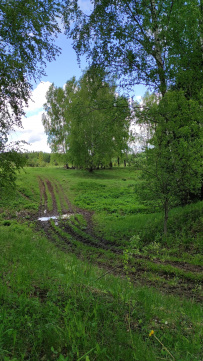 К лесному водопаду Гремучий ручей