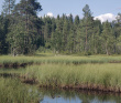Сплав по реке Кереть и Белое море