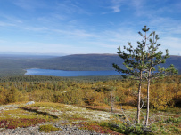 Колвица на морских каяках (байдарках). Путешествие на землю Саамов