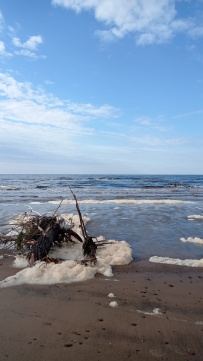 Аметистовый берег Белого моря