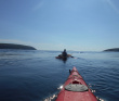 Архипелаг Кузова и Кемские шхеры. По Белому морю на морских каяках