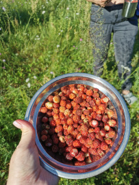 Сплав по реке Угра с посещением Никола-Ленивца