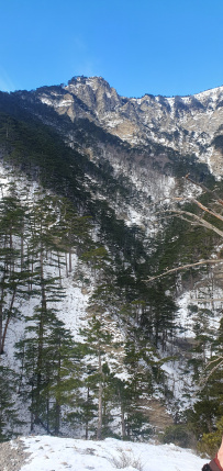 Южное цветочное путешествие: подснежники Крыма