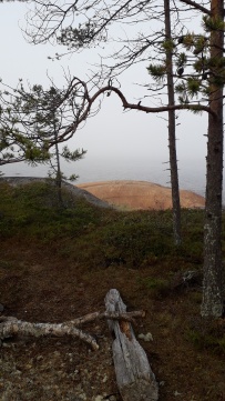 Сплав по реке Воньга и Белое Море на байдарках