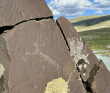 Автотур «Неизведанная Монголия»