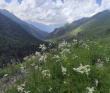 Горный лагерь в Домбае [Кавказ]